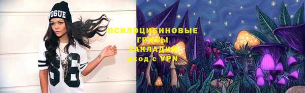ПСИЛОЦИБИНОВЫЕ ГРИБЫ Белокуриха