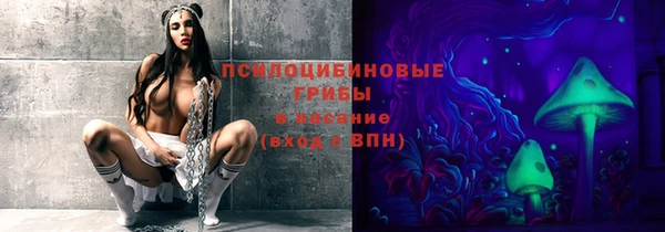 эйфоретик Богданович