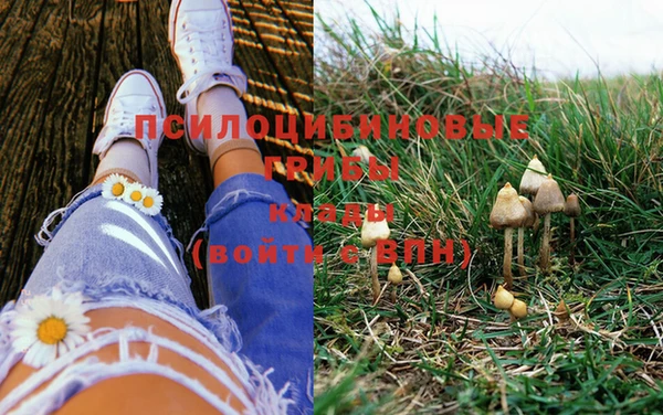 эйфоретик Богданович
