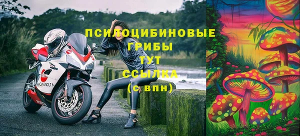 эйфоретик Богданович