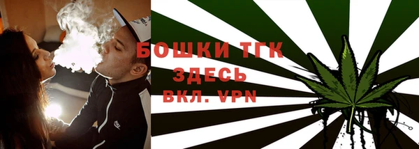 эйфоретик Богданович