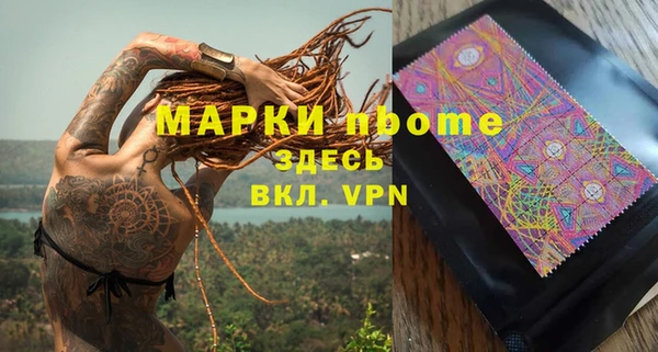 прущие грибы Богородск