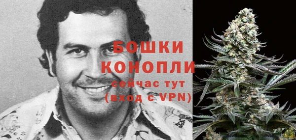 ПСИЛОЦИБИНОВЫЕ ГРИБЫ Белокуриха