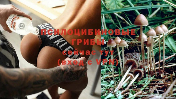 прущая мука Беломорск