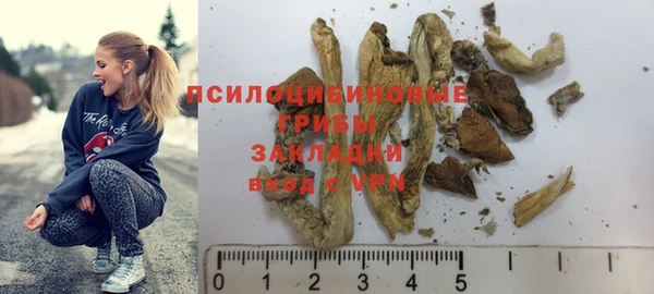 прущие грибы Богородск