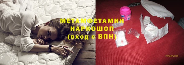 прущие грибы Богородск