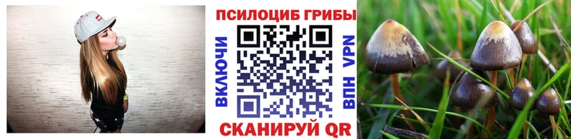 Псилоцибиновые грибы Psilocybe  Короча 